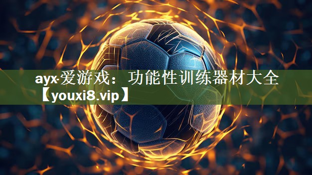 ayx·爱游戏：功能性训练器材大全