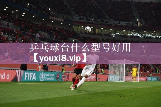 <strong>乒乓球台什么型号好用</strong>