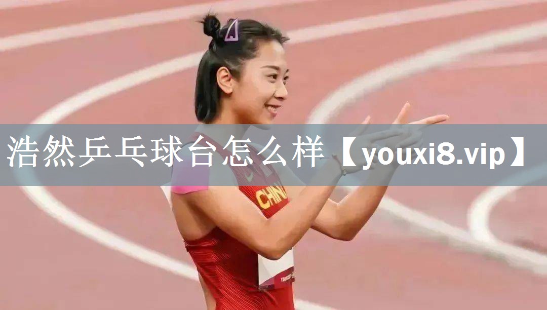 浩然乒乓球台怎么样