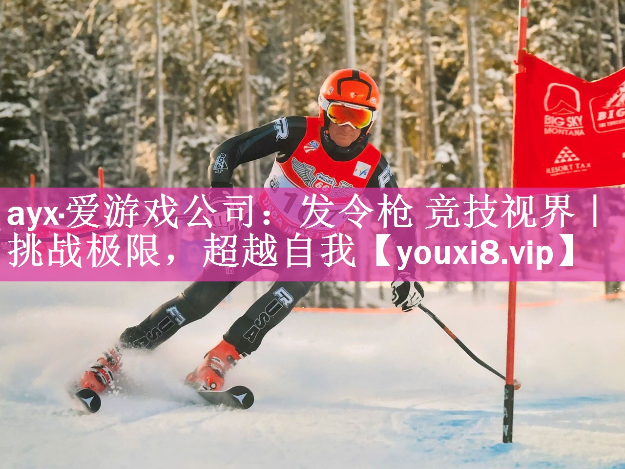 发令枪 竞技视界｜挑战极限，超越自我