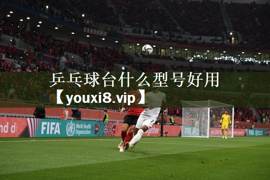 乒乓球台什么型号好用