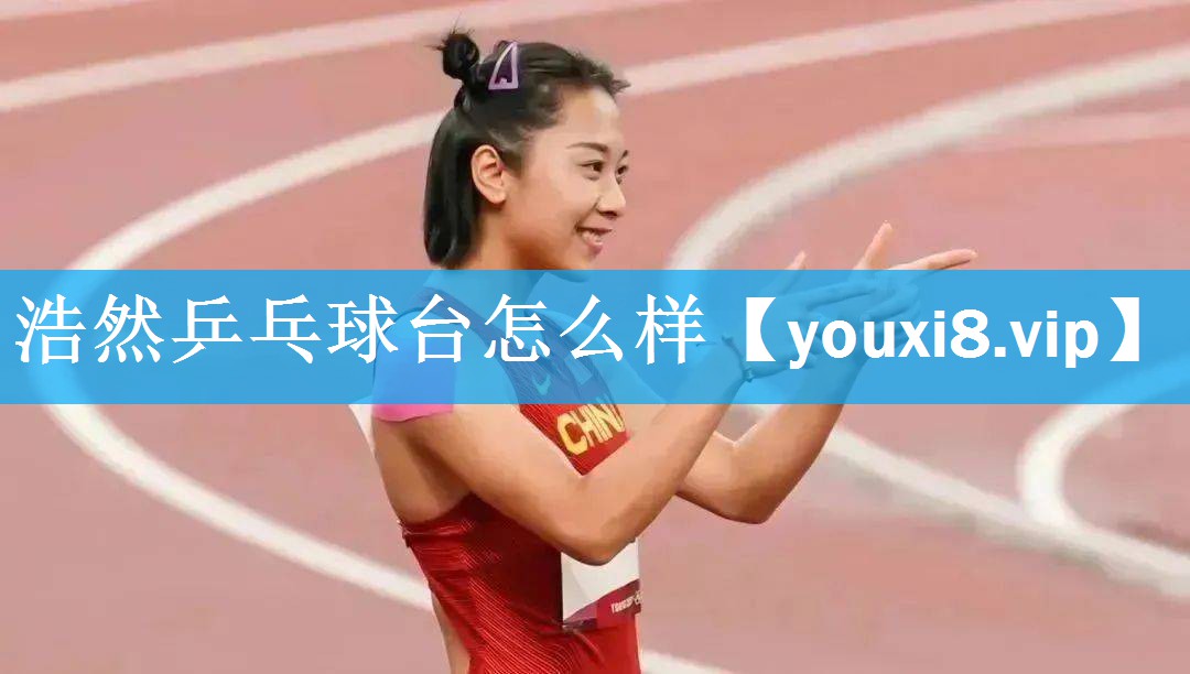 浩然乒乓球台怎么样